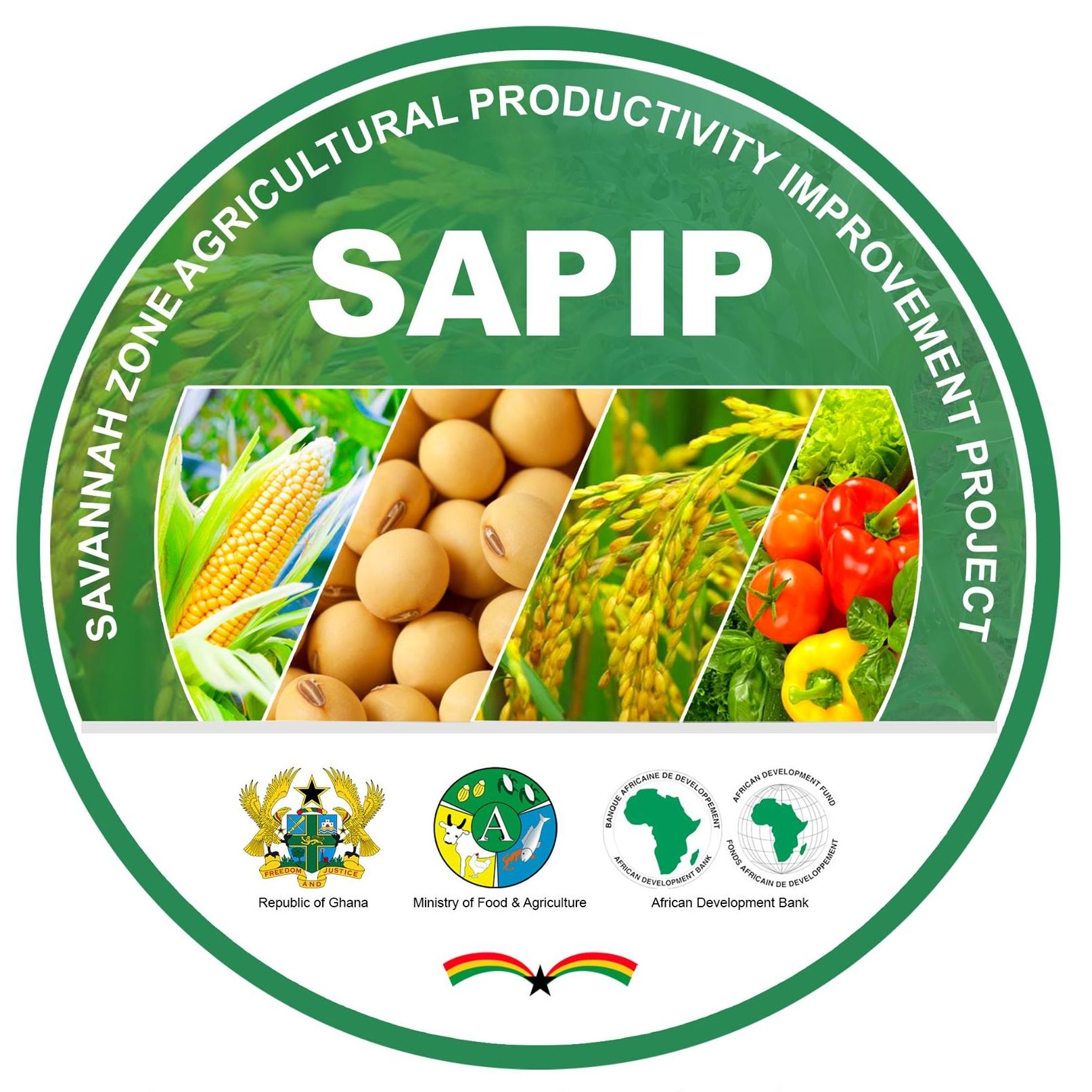 SAPIP Project Impact Photography